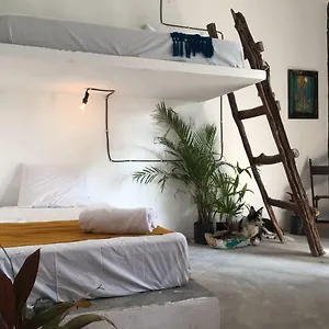 Black Jaguar Guest house